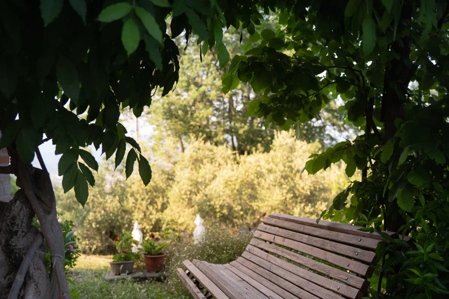 Agriturismo La Romagnana — Pistoia
